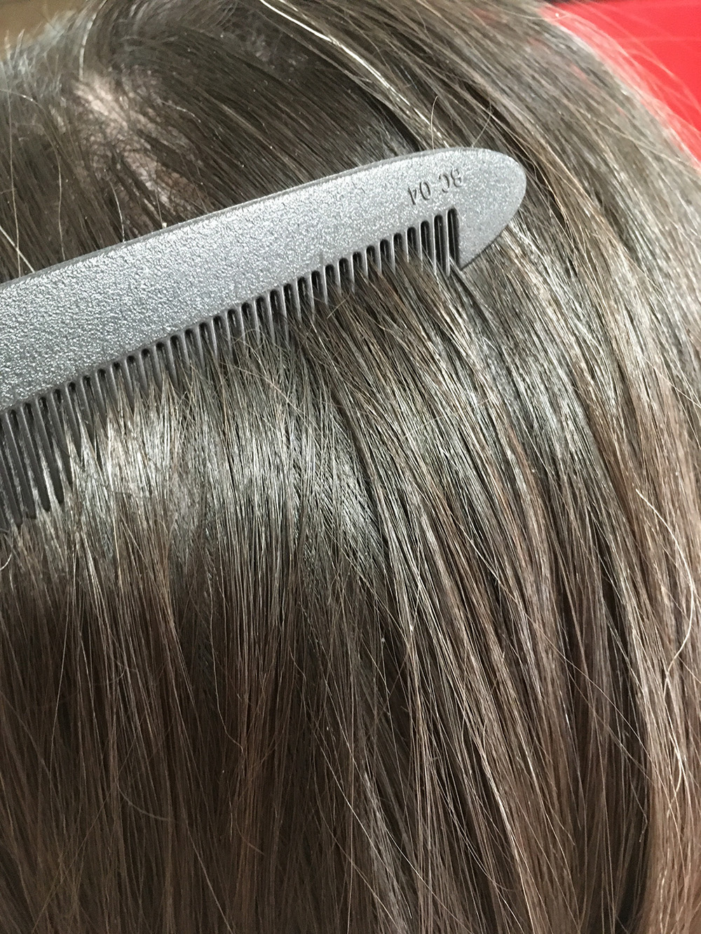 Head Lice Treatment Removal Service in Bergen County, New Jersey